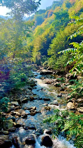 تصویر 18 - ویلا جنگلی در ماسال