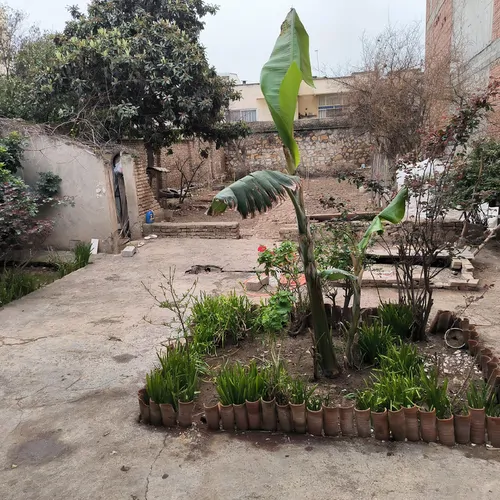 تصویر 5 - ویلا اشرف در  بهشهر