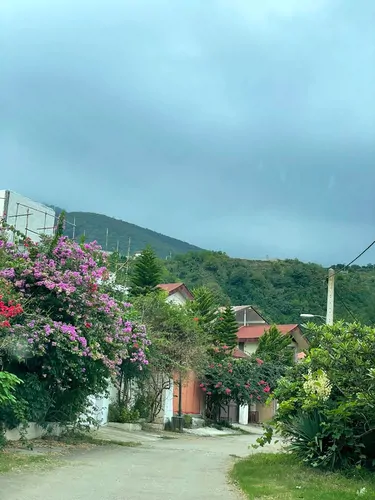 تصویر 23 - ویلا با منظره دریا و جنگل در رامسر