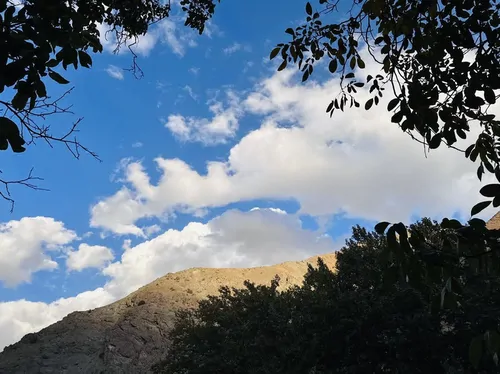 تصویر 16 - کلبه چوبی مهتاب در فشم
