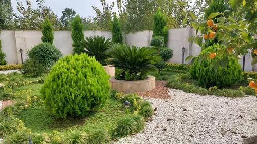 تصویر 5 - ویلا ویلای ساحلی آرامش در زیبا کنار