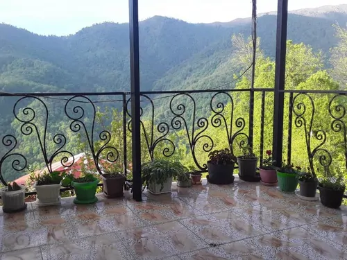 تصویر 2 - ویلا کوهسار در تالش