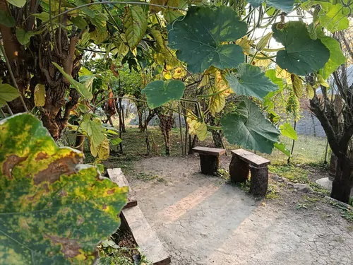 تصویر 14 - کلبه  توسکا (2) در  شیرگاه