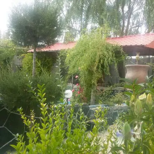 تصویر 23 - ویلا باغ ریحان در  بسطام