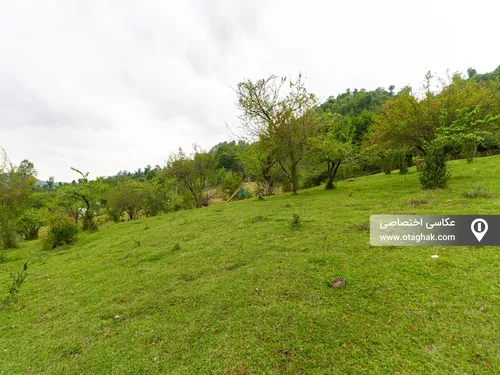 تصویر 20 - ویلا جنگلی مبله کوهپایه  در  ماسال