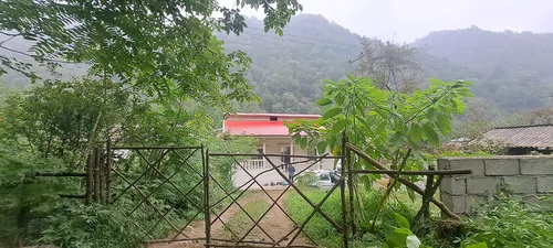 تصویر 2 - ویلا جنگلی مهتاب در اسالم