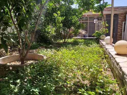 تصویر 4 - ویلا باغچه  در  کاشان