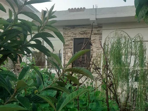 تصویر ۱ - خانه ویلایی گیسوم  در  تالش