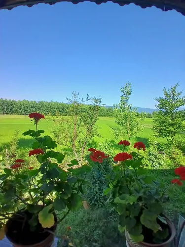 تصویر 11 - ویلا جنگلی روستایی مهر در  ماسال