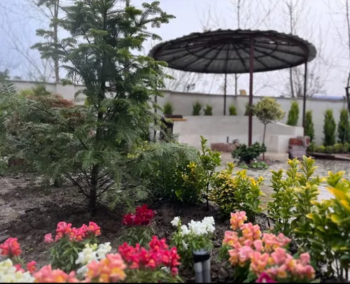 تصویر 28 - کلبه سوئدی چشم انداز با جکوزی در ماسال