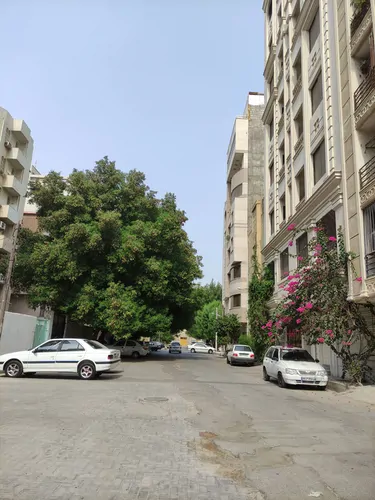 تصویر 11 - آپارتمان مبله آریا  در  بندر عباس