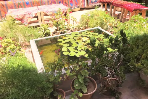 تصویر 3 - اقامتگاه بوم‌گردی (واحد۱) در شیراز