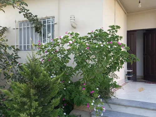 تصویر 2 - ویلا مانیا در ساری