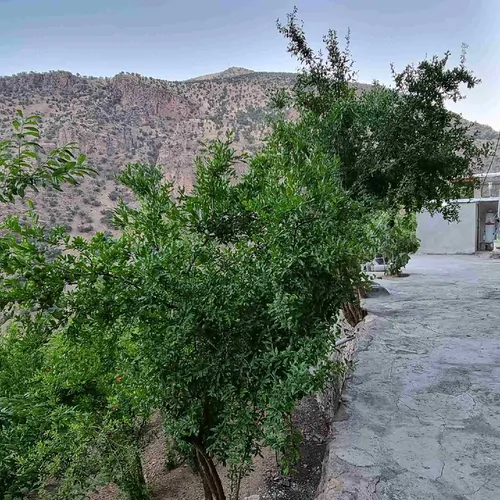 تصویر 3 - خانه خانه اجاره ای در پاوه