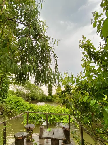 تصویر 7 - ویلا جنگلی کنار رودخانه باغ پردیس در  رامسر