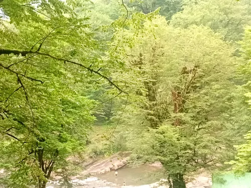 تصویر 2 - ویلا ویلای سویسی گیل بام ۳ در رودسر