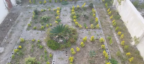 تصویر 2 - ویلا ویلا دربست ذبیحی  در رامسر