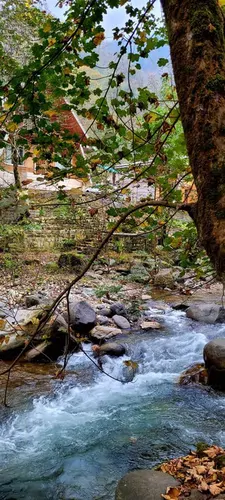 تصویر 25 - کلبه چوبی امیر  در  جاده اسالم خلخال
