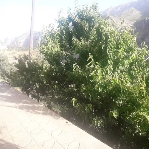 تصویر 24 - خانه بهرامی در اورامان تخت در  اورامان تخت