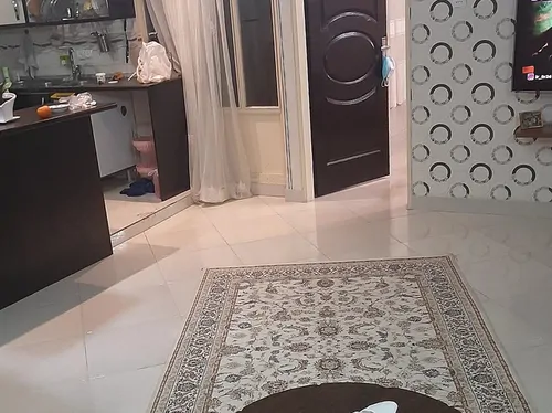 تصویر 3 - آپارتمان مبله هنگام در تهران