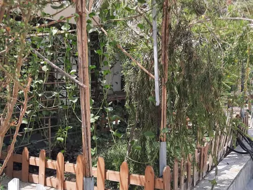 تصویر 3 - ویلا  باغچه عمارت  در بندر عباس