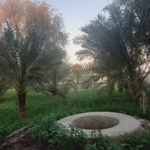 تصویر 15 - ویلا نخل شیخی (اتاق خاصویی) در  قشم
