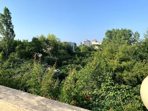 تصویر 30 - ویلا آرامش با جکوزی در رامسر