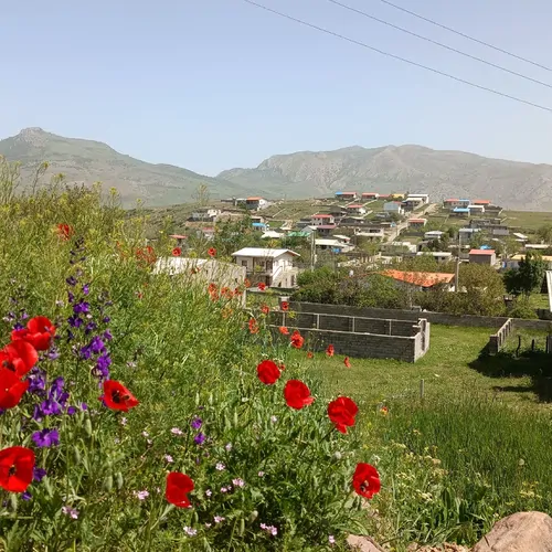 تصویر 12 - خانه باغ واوسر در  کیاسر