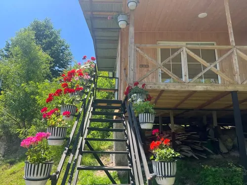 تصویر 10 - کلبه چوبی میثم در  ماسال