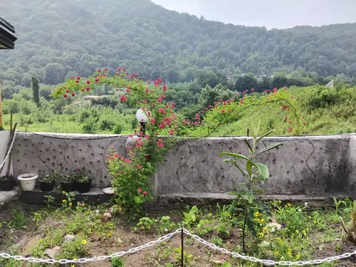 تصویر 16 - ویلا جنگلی شمعدونی با جکوزی در  سوادکوه