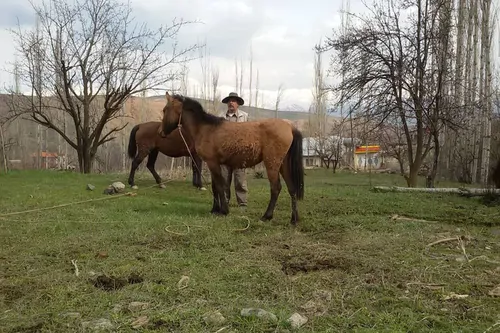 تصویر 4 - اقامتگاه بوم‌گردی اتاق سنتی زیبا در طالقان