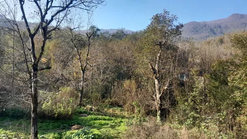 تصویر 11 - کلبه گیشم در شفت