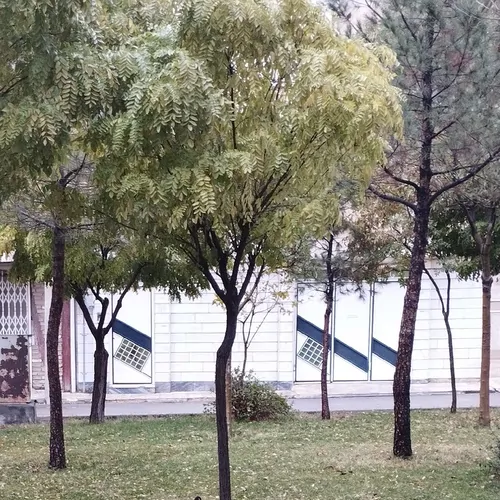 تصویر ۱ - خانه ویلایی پردیس (طبقه اول) در  بروجرد
