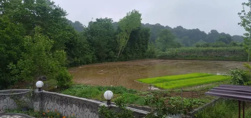 تصویر 23 - کلبه رایکا (۲) در سوادکوه