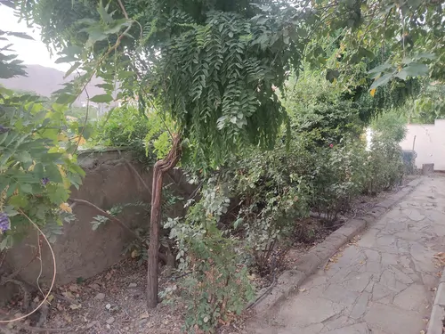 تصویر 15 - سوییت ویلایی گل باغ در  برغان