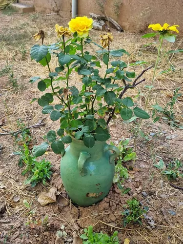 تصویر 5 - اقامتگاه بوم‌گردی اقامتگاه بومگردی قلعه عقاب ها در  الموت