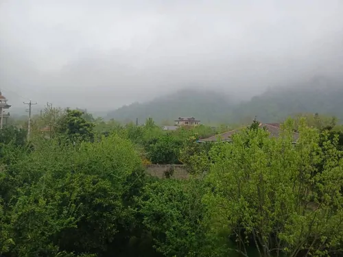 تصویر 14 - کلبه سعادتی در  تالش