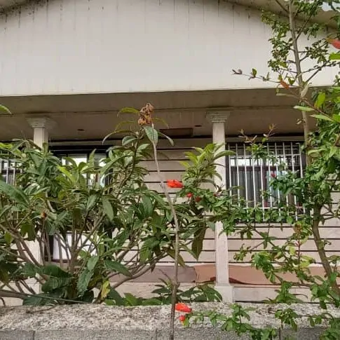 تصویر 4 - ویلا مبله گلستان در  ماسال