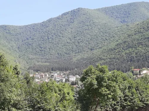 تصویر 12 - ویلا مبله سردار جنگل در  کلاردشت