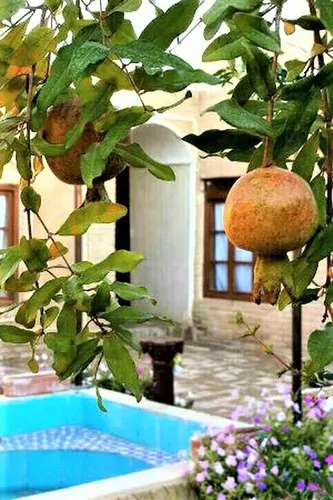 تصویر 5 - اقامتگاه بوم‌گردی (امید) در  گناباد