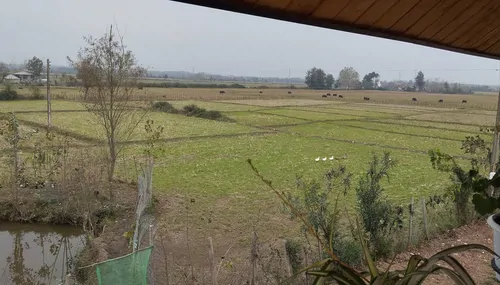 تصویر 22 - کلبه استخردار آبگرم مهراد در  ماسال