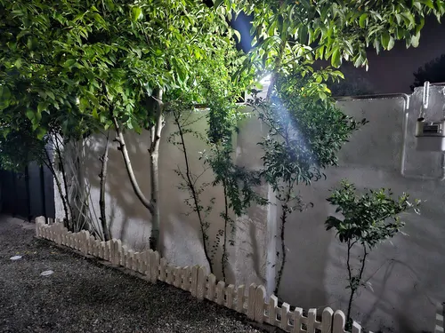 تصویر 19 - کلبه چوبی محمدی در انزلی