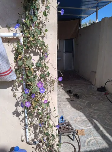 تصویر 2 - ویلا اقامتگاه گاوکشه در دورود