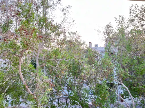 تصویر 11 - آپارتمان مبله سحر (واحد ۵) در کیش