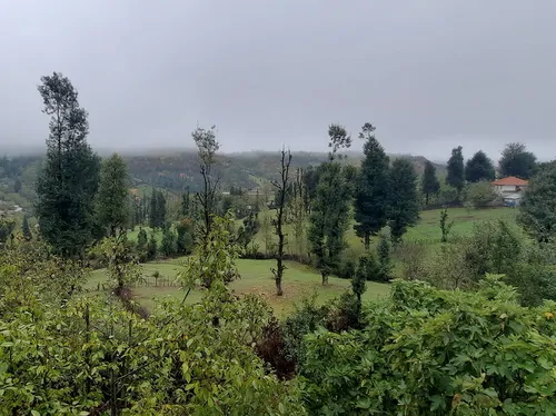 تصویر 34 - ویلا جنگلی آپادانا روستای استخرگاه در  رستم آباد