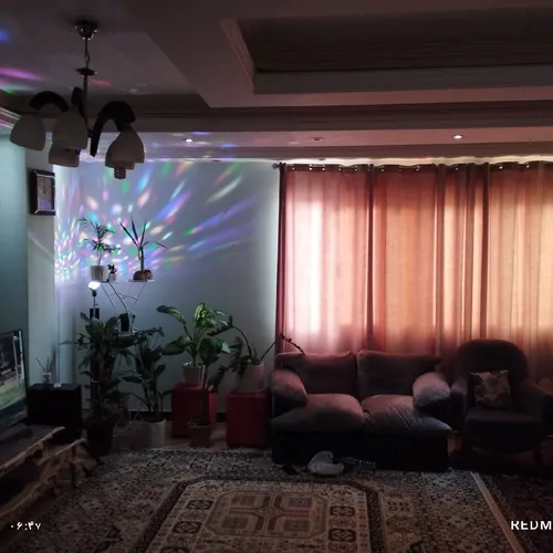 تصویر 2 - خانه میلو در بندر عباس