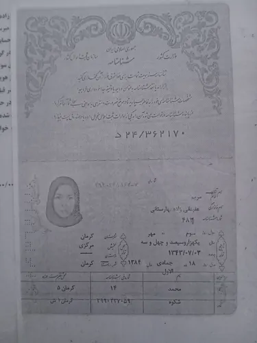 تصویر 3 - خانه   انار در کرمان