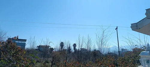 تصویر 12 - ویلا  گندم  در  شیرود