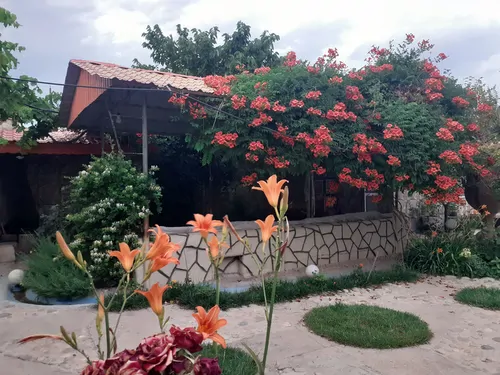 تصویر 18 - ویلا باغ ریحان در  بسطام