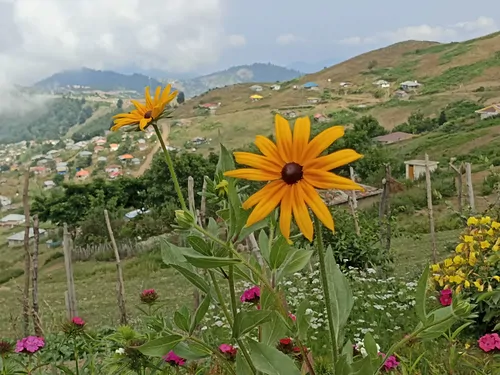 تصویر 3 - کلبه کوهستانی لاکچری در اسالم